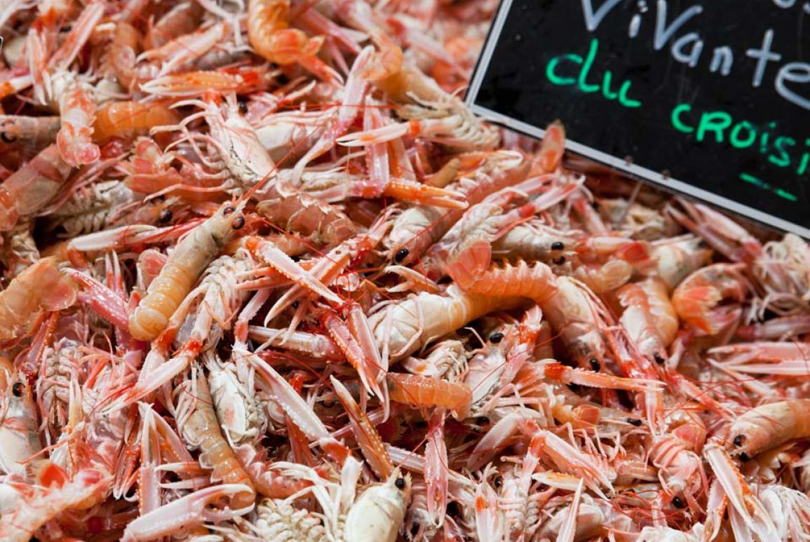 lot de crevettes - hotel la baule escoublac