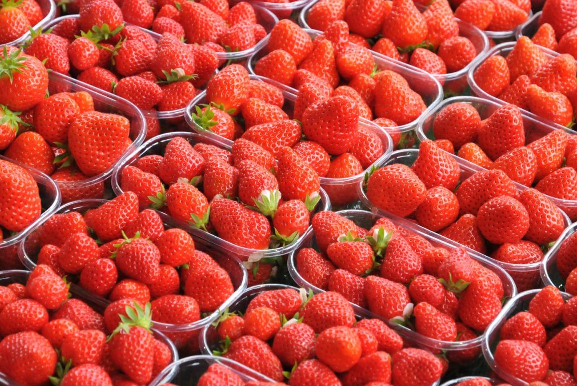 plusieurs barquettes de fraises - hotel la baule escoublac