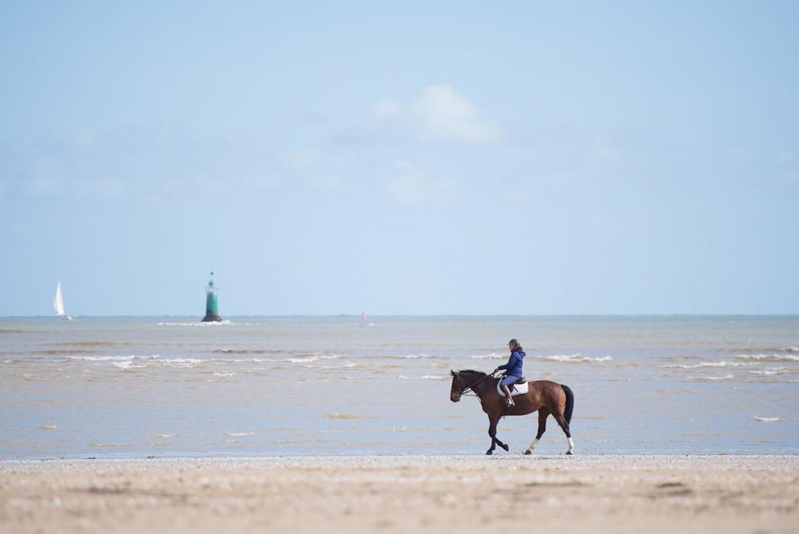 cavalier sur plage paisible et voiliers au loin - hotel la baule escoublac