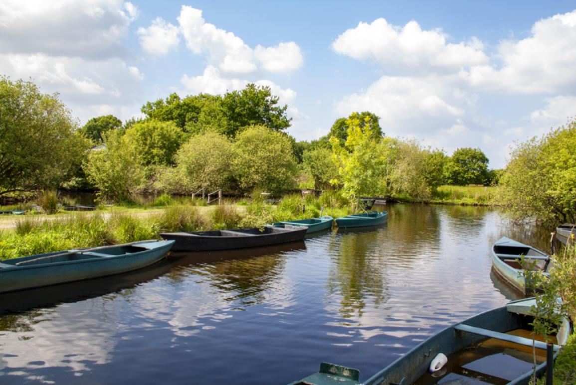 lac avec canoés sur le côté - hotel la baule escoublac